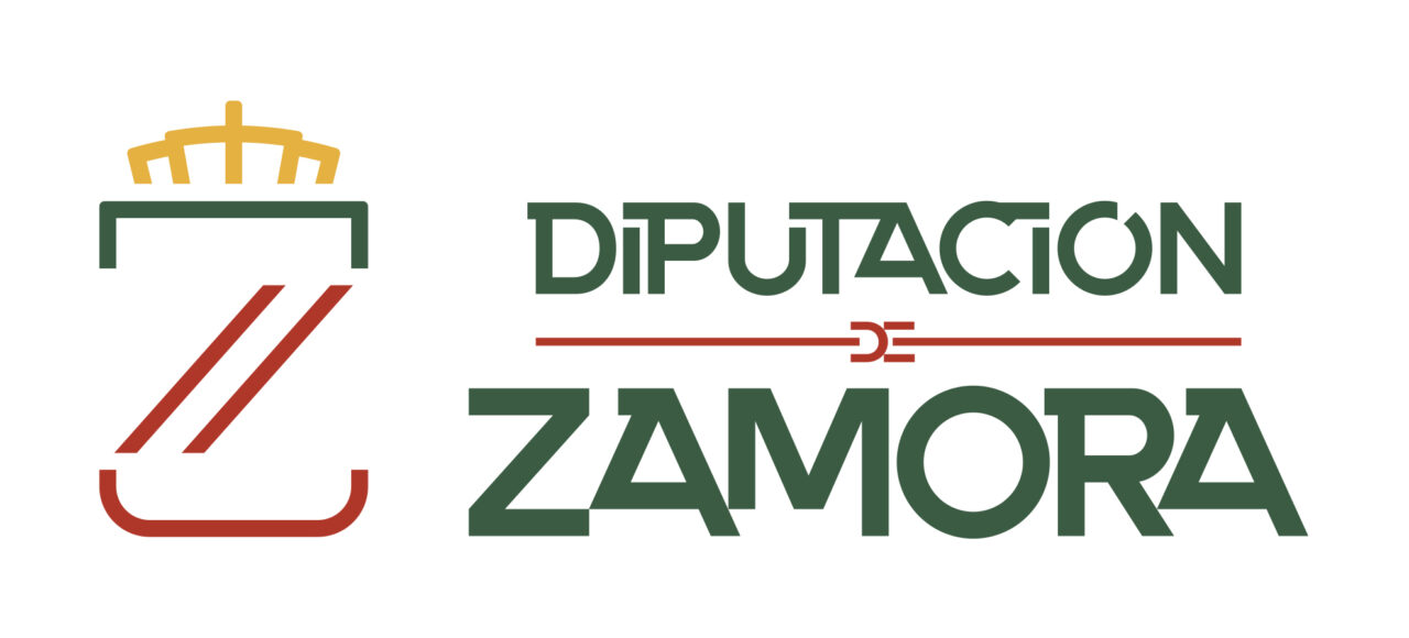 Azdem Zamora - Logo Diputación de Zamora