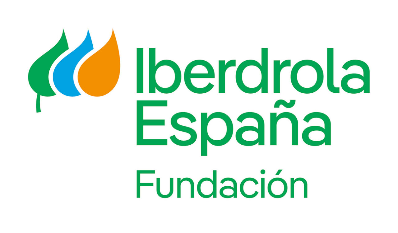 Azdem Zamora - Logo Fundación Iberdrola